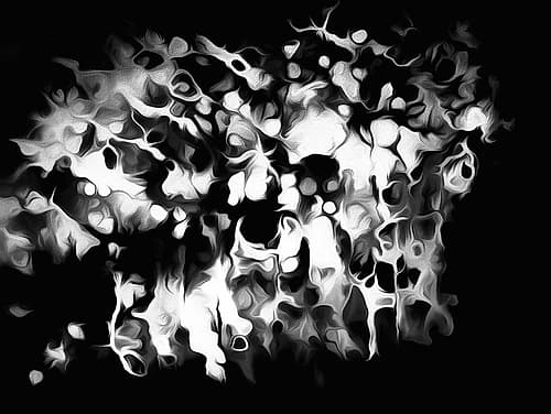 Oregon Abstract of black and white photograph Art Print by Jaynes Gallery